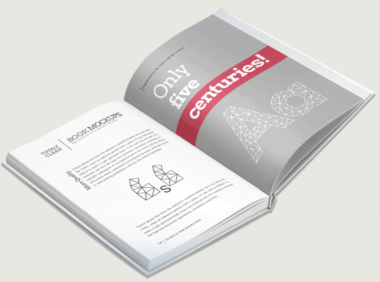 2020年精裝書(shū)冊(cè)宣傳書(shū)籍印刷 第1張 2020年精裝書(shū)冊(cè)宣傳書(shū)籍印刷 第1張