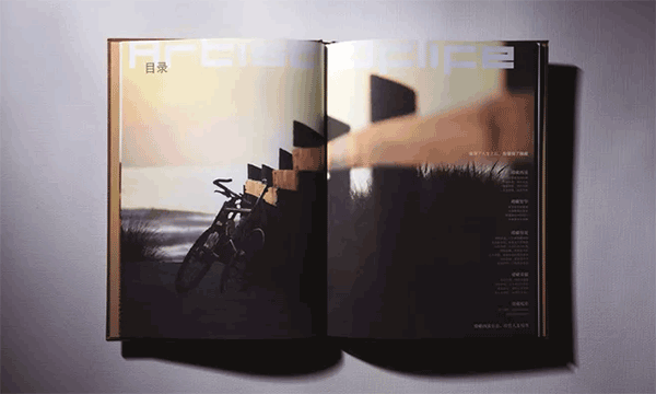 地產(chǎn)畫冊 第3張 地產(chǎn)畫冊 第3張