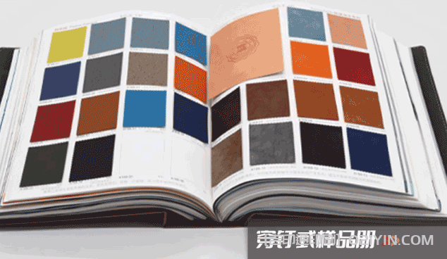 活頁(yè)式色卡樣本冊(cè)印刷  第3張