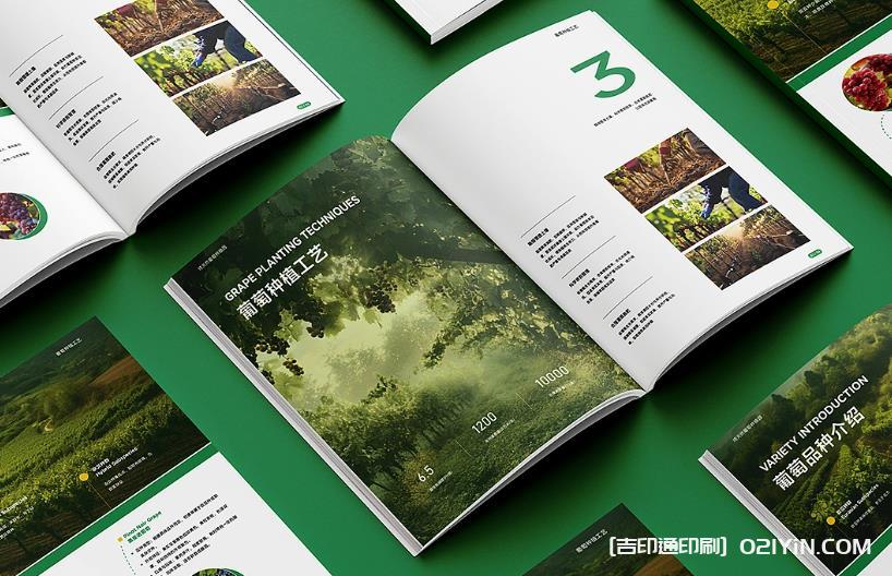 上海產品畫冊印刷避坑指南：文件規范、工期把控與質量驗收要點