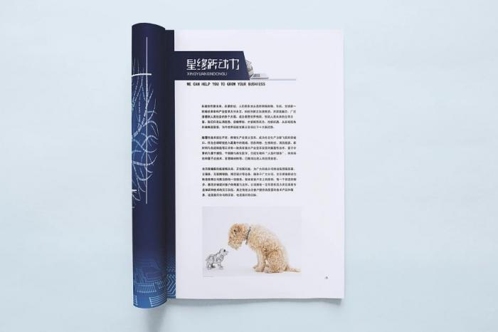 上海寶山區(qū)畫(huà)冊(cè)印刷適用場(chǎng)景大盤(pán)點(diǎn)